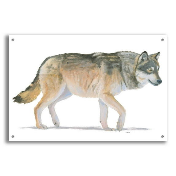 Epic Art 'Northern Wild II' by James Wiens, Acrylic Glass Wall Art, 36"x24"