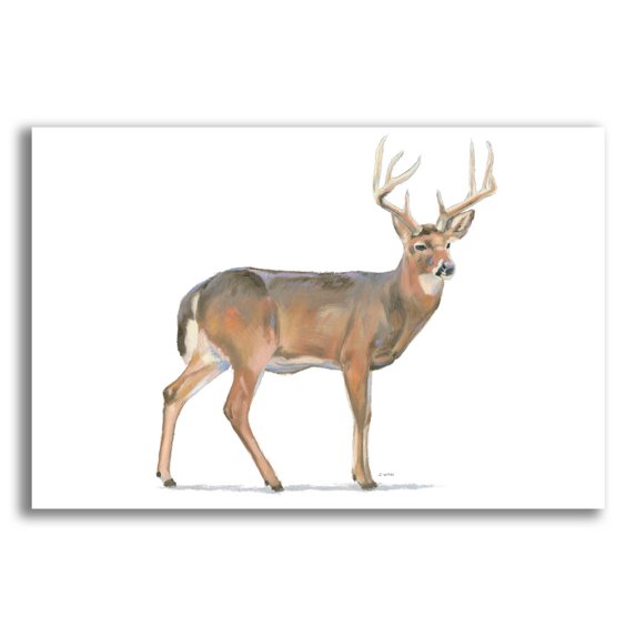 Epic Art 'Northern Wild V' by James Wiens, Acrylic Glass Wall Art, 24"x16"