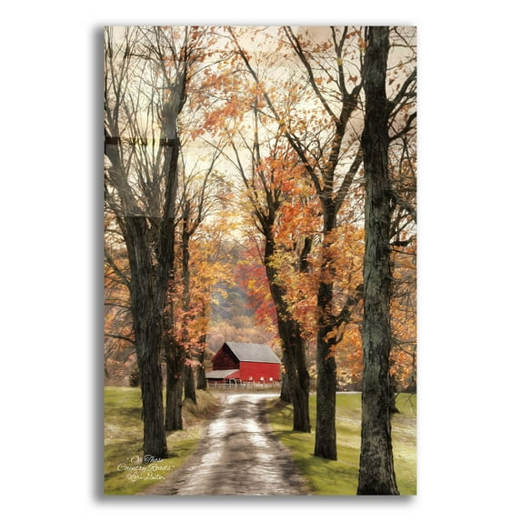 Epic Art 'On Those Country Roads' by Lori Deiter, Acrylic Glass Wall Art, 12"x16"