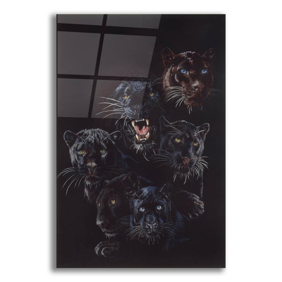 Epic Art 'Onyx' by Barbara Keith, Acrylic Glass Wall Art, 16"x24"