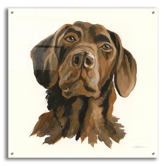 Epic Art 'Oscar' by Silvia Vassileva, Acrylic Glass Wall Art, 36"x36"