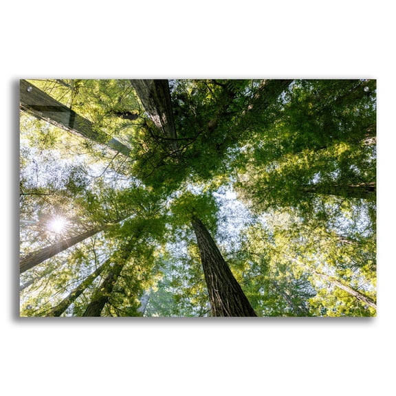 Epic Art 'POV' by Epic Portfolio, Acrylic Glass Wall Art, 36"x24"