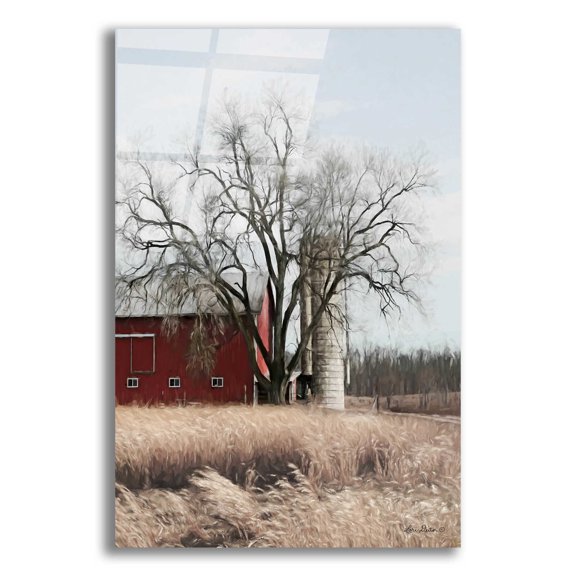 Epic Art 'Painted Silo' by Lori Deiter Acrylic Glass Wall Art, 12"x16"