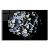 Epic Art 'Pale Blue Hydrangea' by Elise Catterall, Acrylic Glass Wall Art, 24"x16"