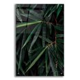thumbnail image 1 of Epic Art 'Palm Detail' by Elise Catterall, Acrylic Glass Wall Art, 24"x36", 1 of 8