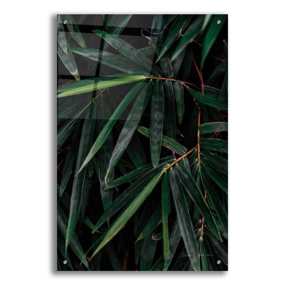 Epic Art 'Palm Detail' by Elise Catterall, Acrylic Glass Wall Art, 24"x36"