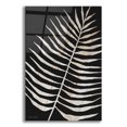 thumbnail image 1 of Epic Art 'Palm Frond Wood Grain I' by Cindy Jacobs, Acrylic Glass Wall Art, 12"x16", 1 of 8