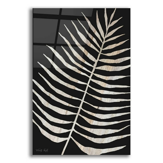 Epic Art 'Palm Frond Wood Grain I' by Cindy Jacobs, Acrylic Glass Wall Art, 12"x16"