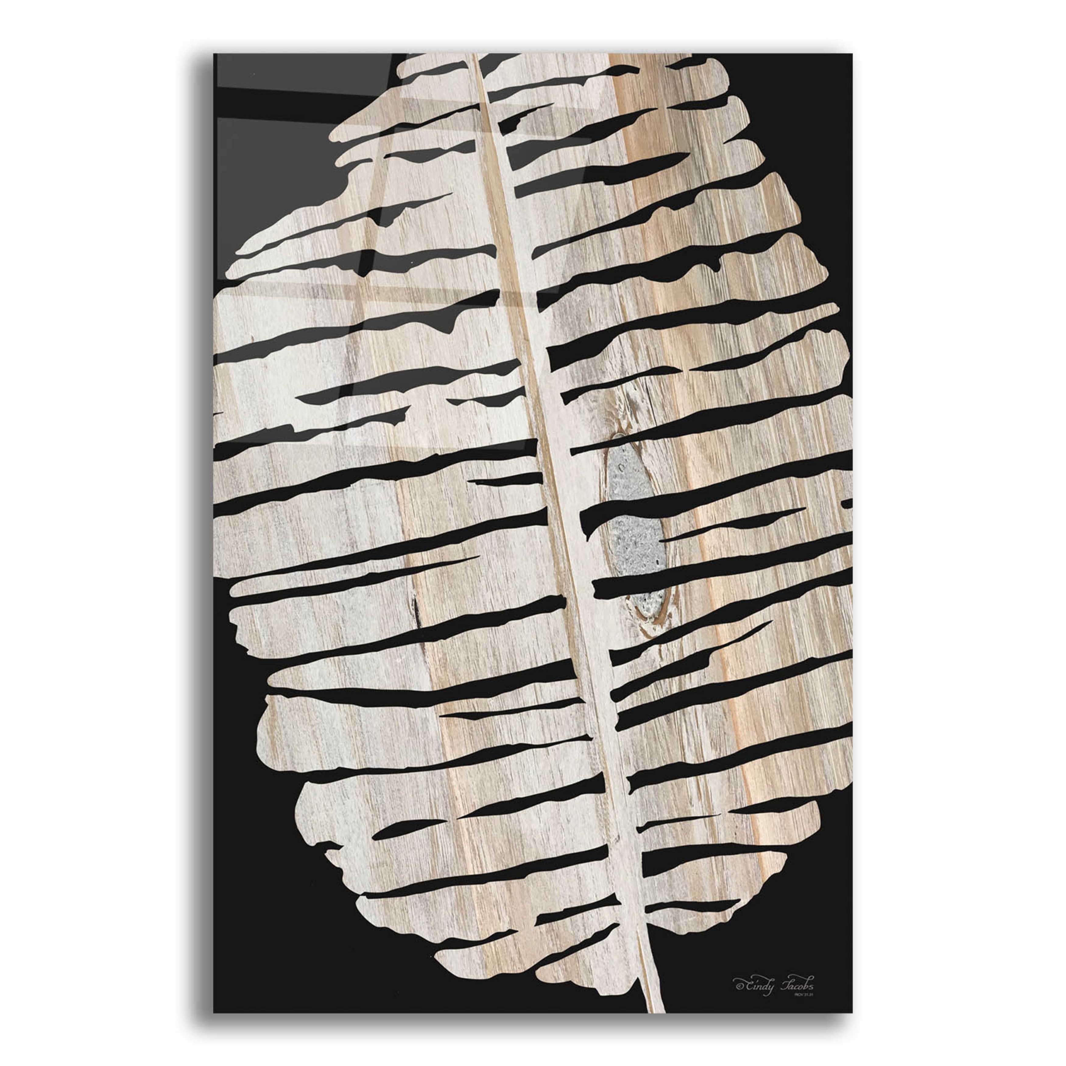 Palm Frond Wood Grain Black Canvas Wall Art, 16" x 12"