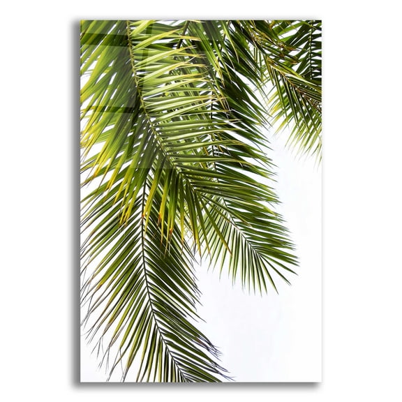 Epic Art 'Palm Leaves' by Lexie Greer, 12"x16"