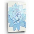 thumbnail image 1 of Epic Art 'Pastel Succulent II' by Tim O'Toole, Acrylic Glass Wall Art, 16"x24", 1 of 3