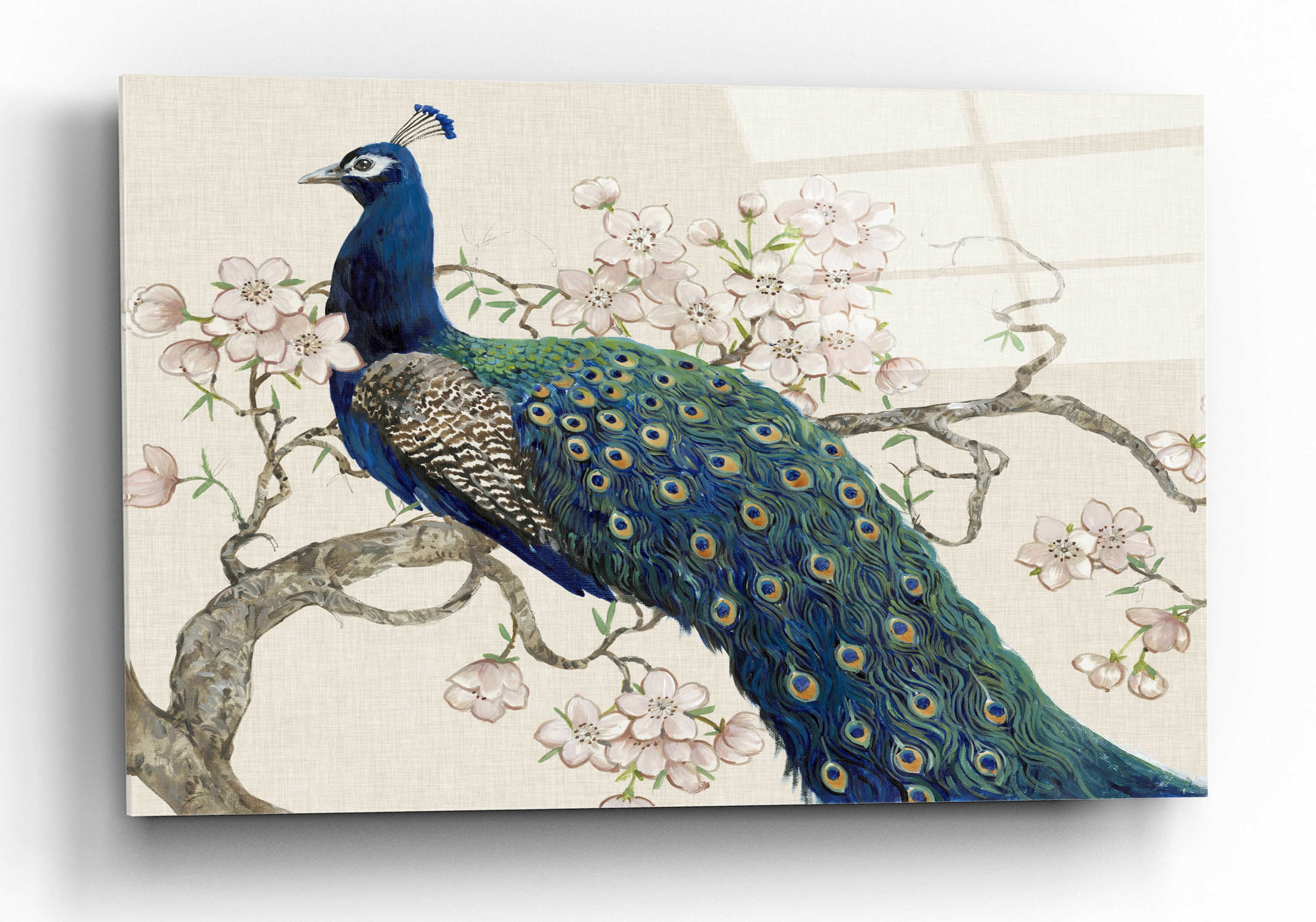 Peacock and Blossoms Canvas Wall Art 16" x 12"