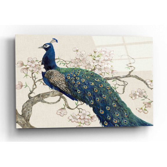 Epic Art 'Peacock & Blossoms II' by Tim O'Toole, Acrylic Glass Wall Art, 24"x16"