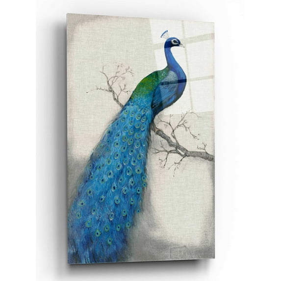 Epic Art 'Peacock Blue I' by Tim O'Toole, Acrylic Glass Wall Art, 16"x24"