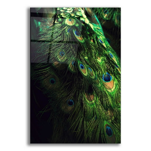 Epic Art 'Peacock Tail' by Incado, Acrylic Glass Wall Art, 12"x16"