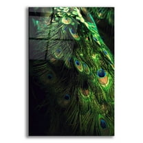 Epic Art 'Peacock Tail' by Incado, Acrylic Glass Wall Art, 16"x24"