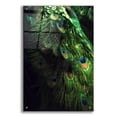 thumbnail image 1 of Epic Art 'Peacock Tail' by Incado, Acrylic Glass Wall Art, 24"x36", 1 of 8