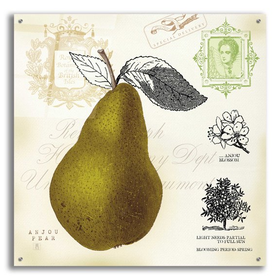Epic Art 'Pear Notes' by Studio Mousseau, Acrylic Glass Wall Art, 36"x36"