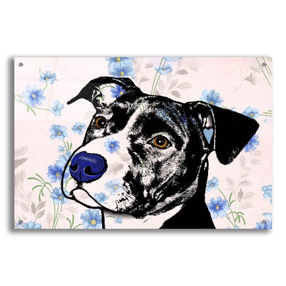 Epic Art 'Perfect World' by Dean Russo Acrylic Glass Wall Art, 36" x 24"