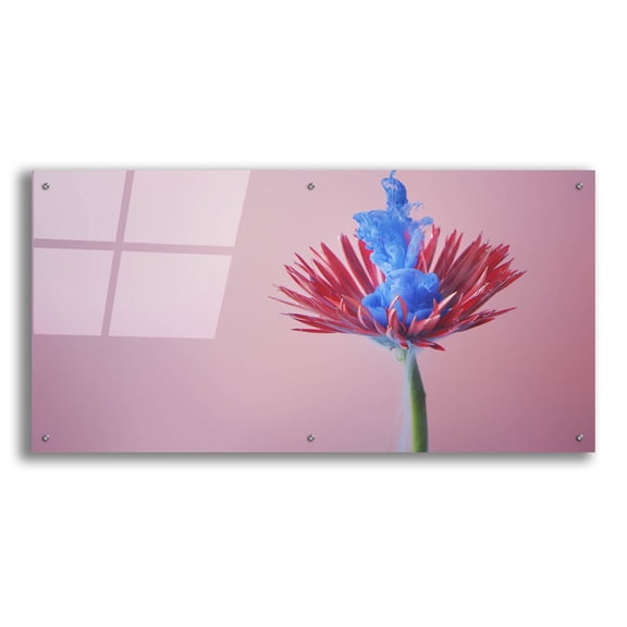 Epic Art 'Persist' by Epic Portfolio, Acrylic Glass Wall Art, 48"x24"