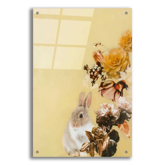 Epic Art 'Pet Couture 4' by Design Fabrikken, Acrylic Glass Wall Art, 24"x36"