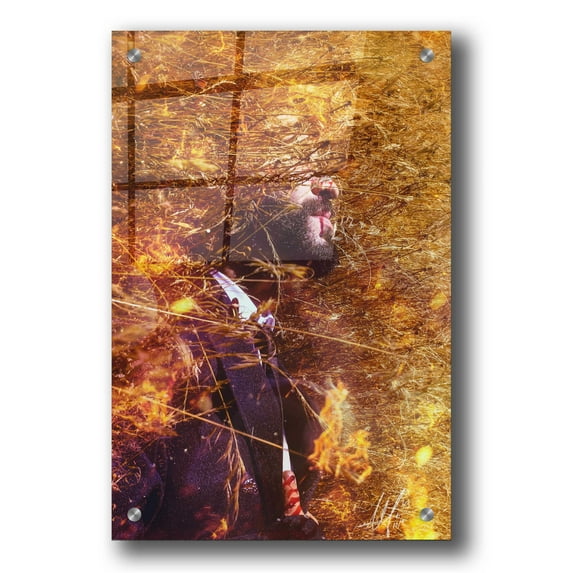 Epic Art 'Phoenix' by Mario Sanchez Nevado, Acrylic Glass Wall Art, 24"x36"