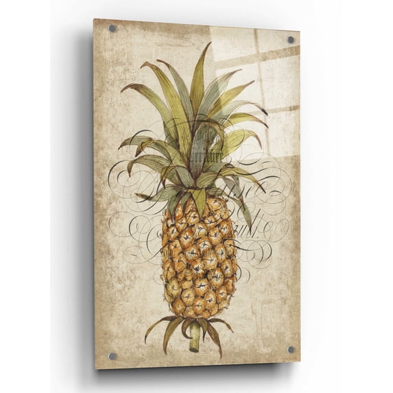 Epic Art 'Pineapple Study II' by Tim O'Toole, Acrylic Glass Wall Art, 24"x36"