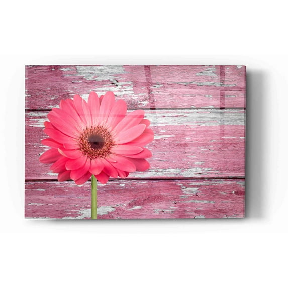 Epic Art "Pink Beginnings" Acrylic Glass Wall Art, 12"x16"