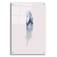 thumbnail image 1 of Epic Art 'Pink Feather' by Incado, Acrylic Glass Wall Art, 24"x36", 1 of 8