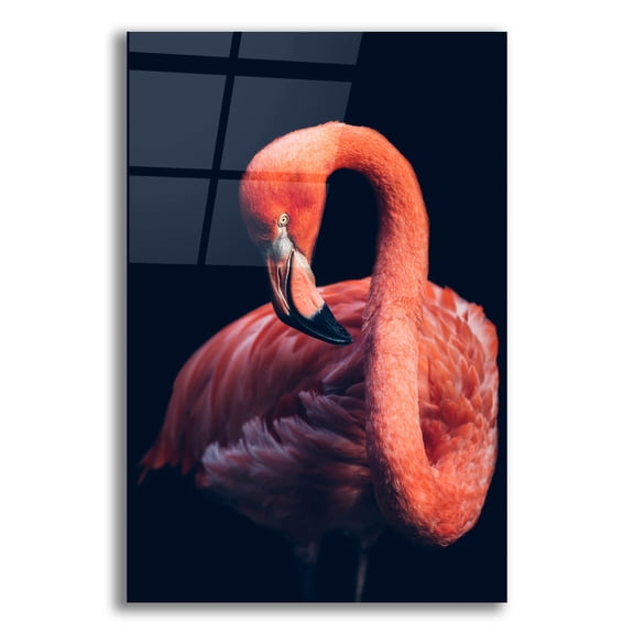 Epic Art 'Pink Flamingo' by Epic Portfolio, Acrylic Glass Wall Art, 12"x16"