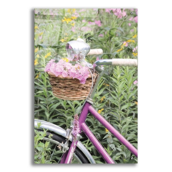 Epic Art 'Pink Garden Bike' by Lori Deiter Acrylic Glass Wall Art, 24"x36"