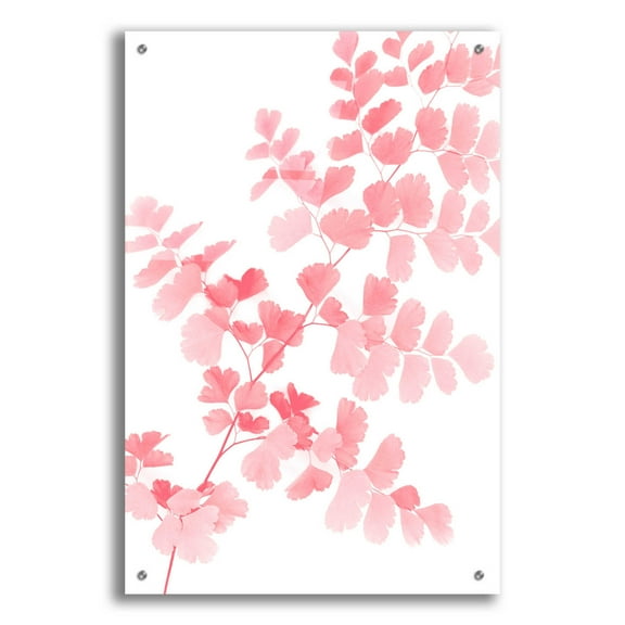 Epic Art 'Pink Maidenhair' by Lexie Greer, 24"x36"