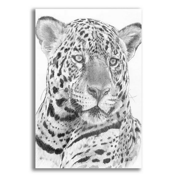 Epic Art 'Placate' by Barbara Keith, Acrylic Glass Wall Art, 16"x24"