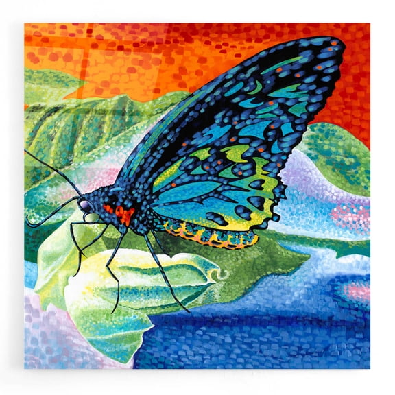 Epic Art 'Poised Butterfly II' by Carolee Vitaletti, Acrylic Glass Wall Art, 12"x12"