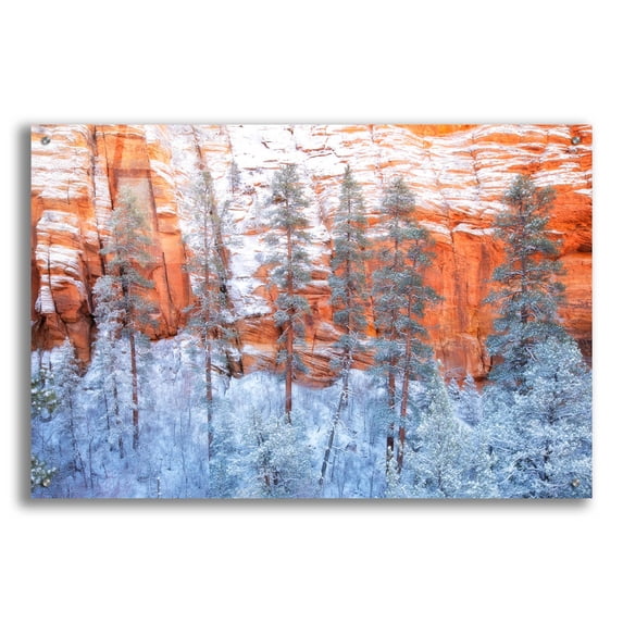 Epic Art 'Ponderosa Sandstone' by Thomas Haney, Acrylic Glass Wall Art, 36"x24"
