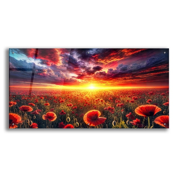 Epic Art 'Poppy Field Sunrise' by Rey Klimt Acrylic Glass Wall Art, 48" x 24"