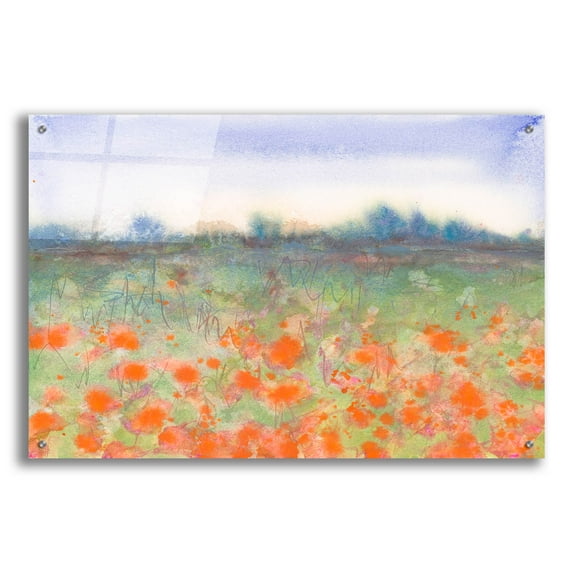 Epic Art 'Poppy Meadow' by Carissa Luminess, Acrylic Glass Wall Art, 36"x24"