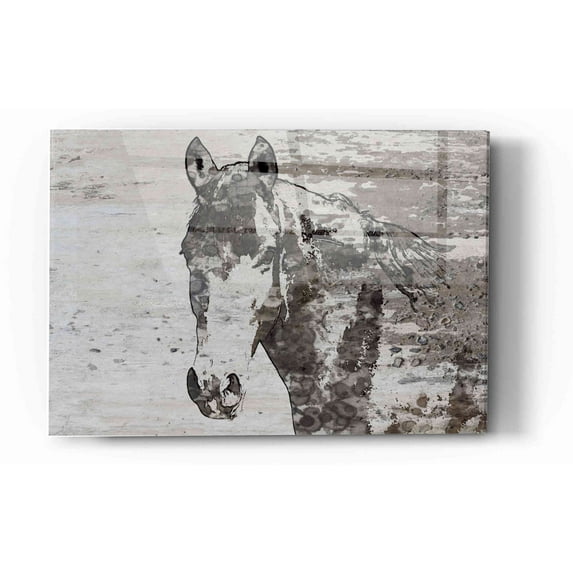 Epic Art 'Portrait of a Horse' by Irena Orlov, Acrylic Glass Wall Art, 12"x16"