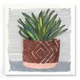 thumbnail image 1 of Epic Art 'Potted Agave II' by Stellar Design Studio, Acrylic Glass Wall Art, 24"x24", 1 of 5