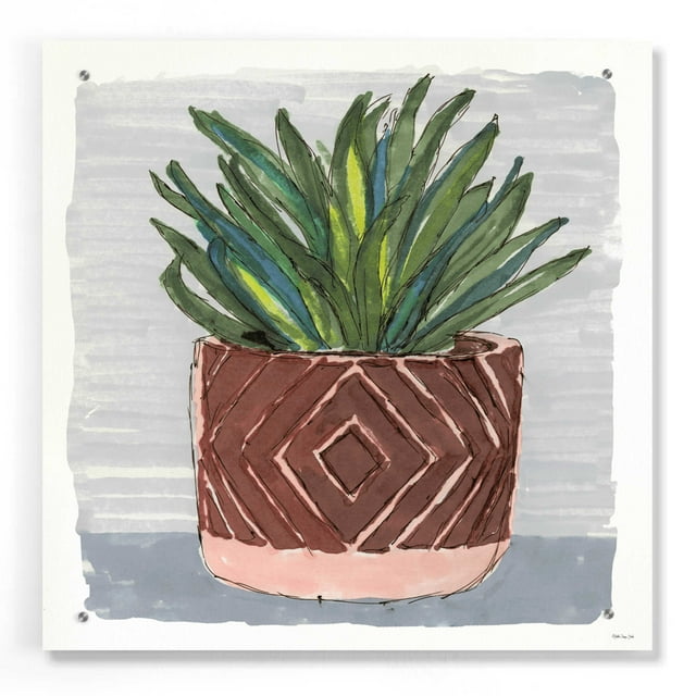 Epic Art 'Potted Agave II' by Stellar Design Studio, Acrylic Glass Wall Art, 24"x24"