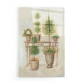 thumbnail image 1 of Epic Art 'Potting Bench & Topiaries II' by Pam Britton, Acrylic Glass Wall Art, 16"x24", 1 of 3