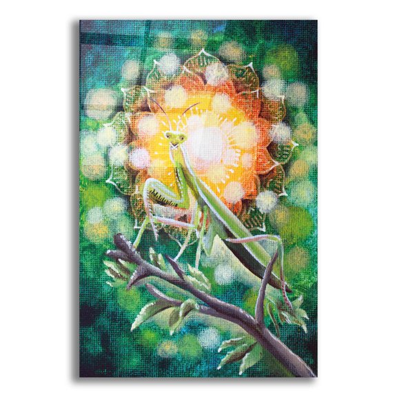 Epic Art 'Praying Mantis'  by Verena Wild Acrylic Glass Wall Art, 16" x 24"