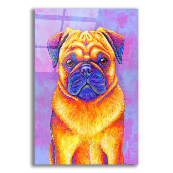 Epic Art 'Pug' by Rebecca Wang Art, Acrylic Glass Wall Art, 12"x16"
