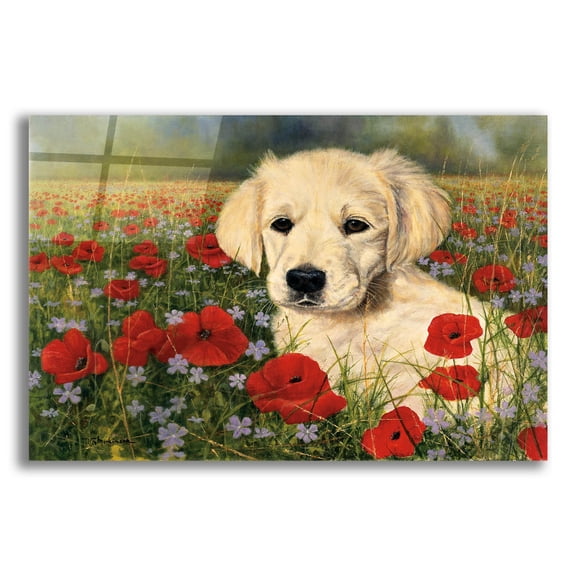 Epic Art 'Puppy And Poppies' by Bill Makinson, Acrylic Glass Wall Art, 16"x12"