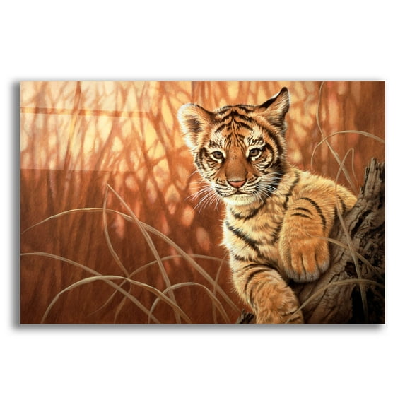 Epic Art 'Pure Eyes' by Joh Naito, Acrylic Glass Wall Art, 24"x16"