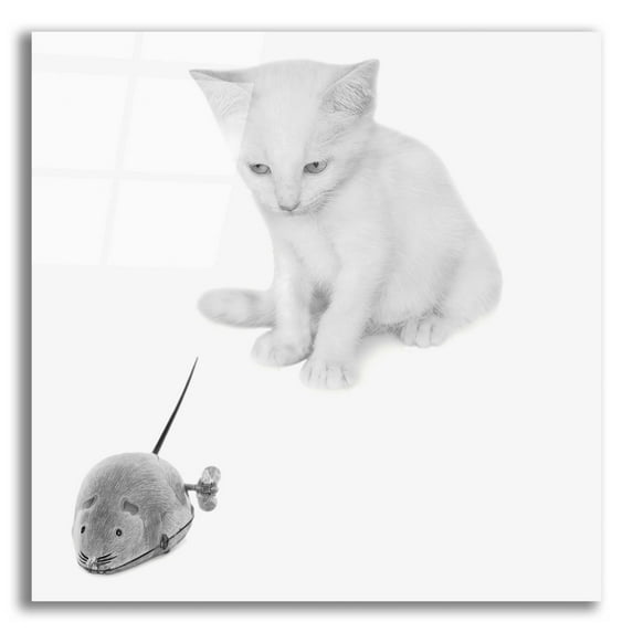 Epic Art 'Qu'est-ce que c'est'' by Jon Bertelli Acrylic Glass Wall Art, 12"x12"