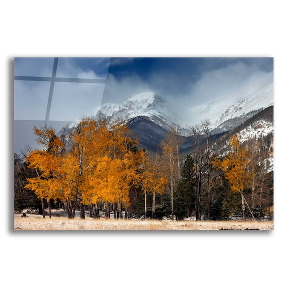 Epic Art 'RMNP Aspens and Storm Clouds' by Mike Jones, Acrylic Glass Wall Art, 16"x12"