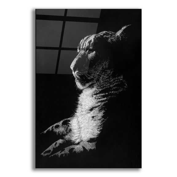 Epic Art 'Radiant Phantom' by Barbara Keith, Acrylic Glass Wall Art, 12"x16"