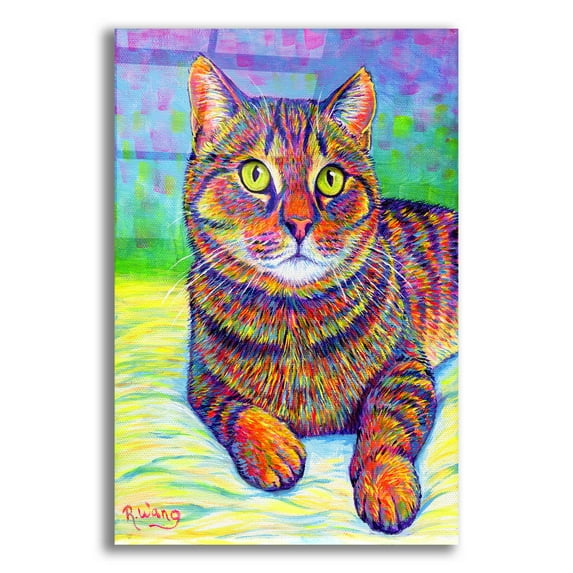 Epic Art 'Rainbow Brown Tabby' by Rebecca Wang Art, Acrylic Glass Wall Art, 12"x16"