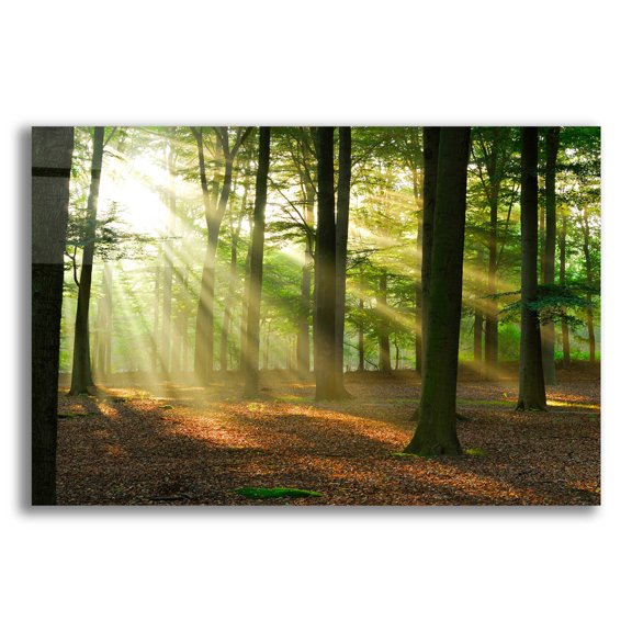Epic Art 'Rays of Light,' Acrylic Glass Wall Art, 24"x16"